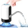 Automatic water dispenser